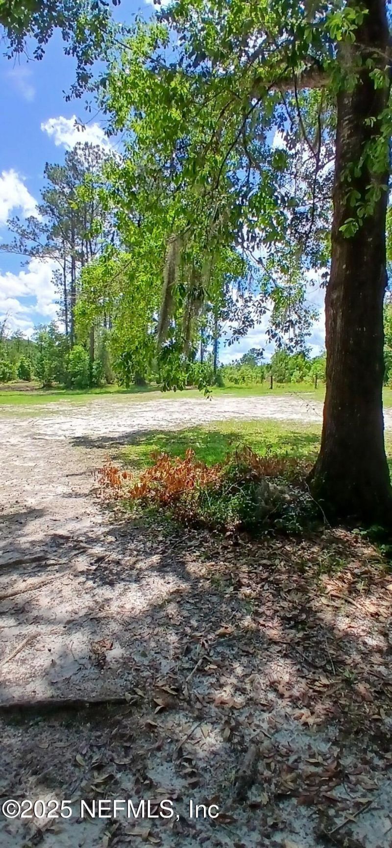 2995 Thunder Road, Middleburg, FL 32068 Photo