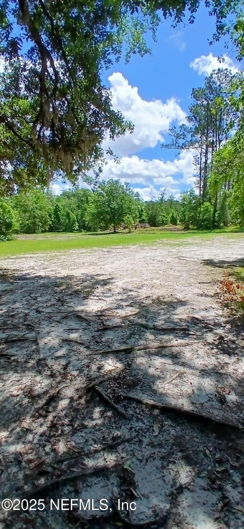 2995 Thunder Road, Middleburg, FL 32068 Photo