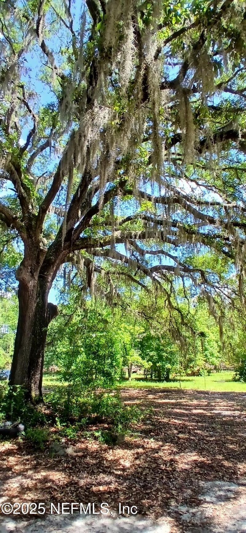 2995 Thunder Road, Middleburg, FL 32068 Photo