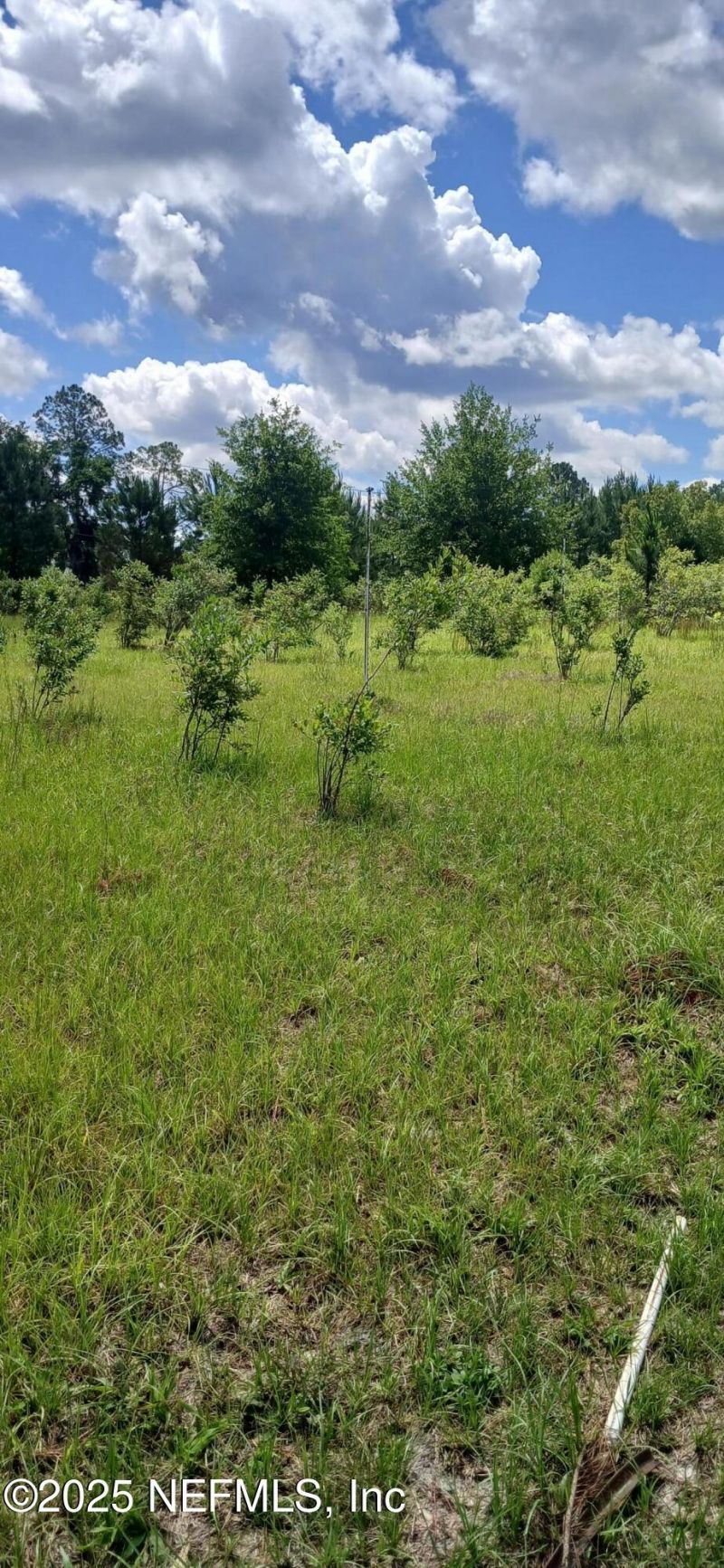 2995 Thunder Road, Middleburg, FL 32068 Photo