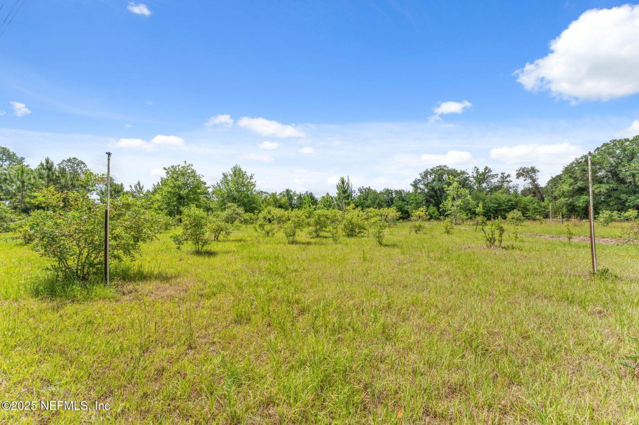 2995 Thunder Road, Middleburg, FL 32068 Photo