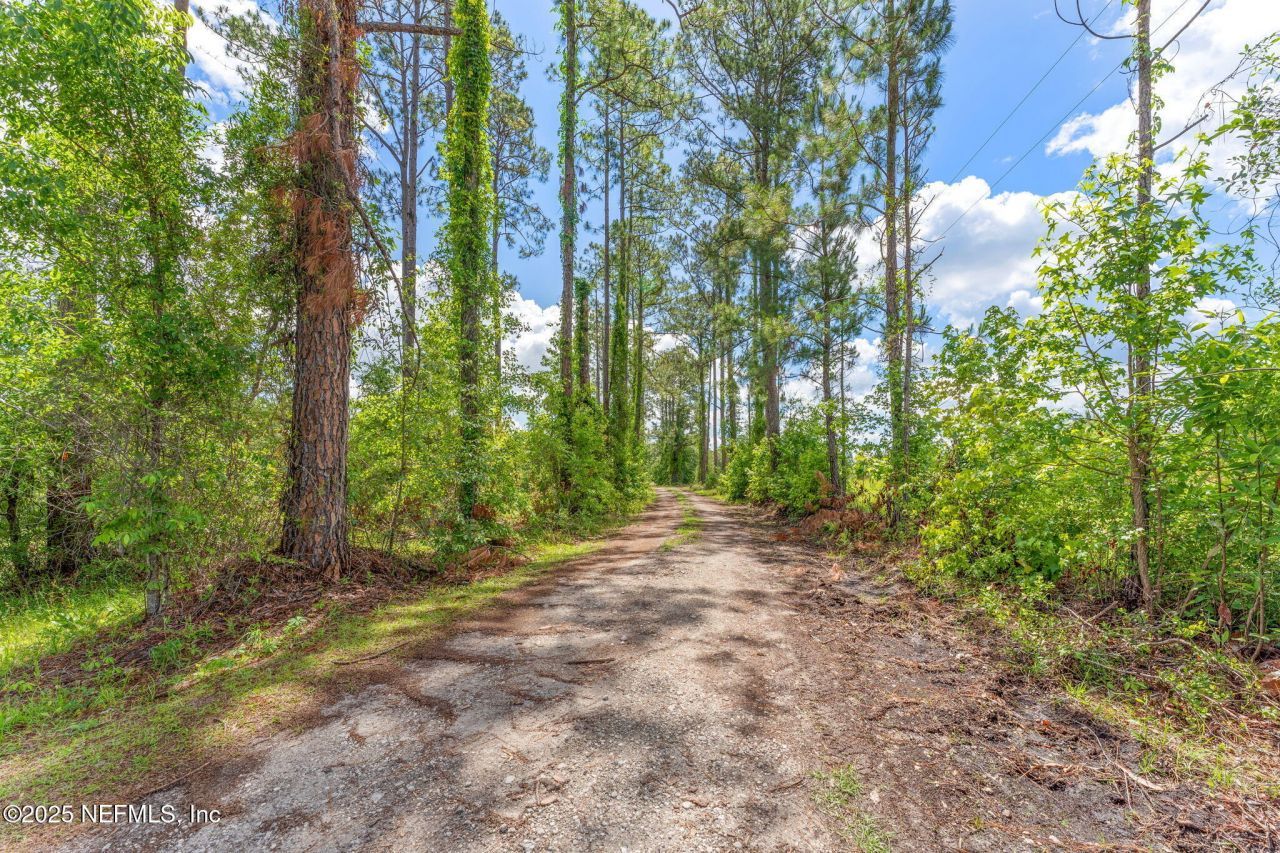 2995 Thunder Road, Middleburg, FL 32068 Photo