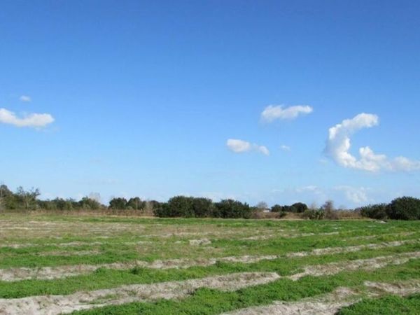 CHALET SUZANNE ROAD, LAKE WALES, FL 33859