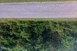 0 Fox Field Road photo 4