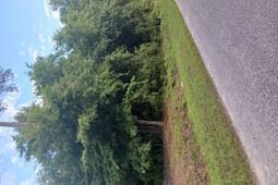 0 Fox Field Road photo 4