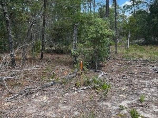 TBD SW 57TH AVENUE, Unit 48 & 49, INTERLACHEN, FL 32148