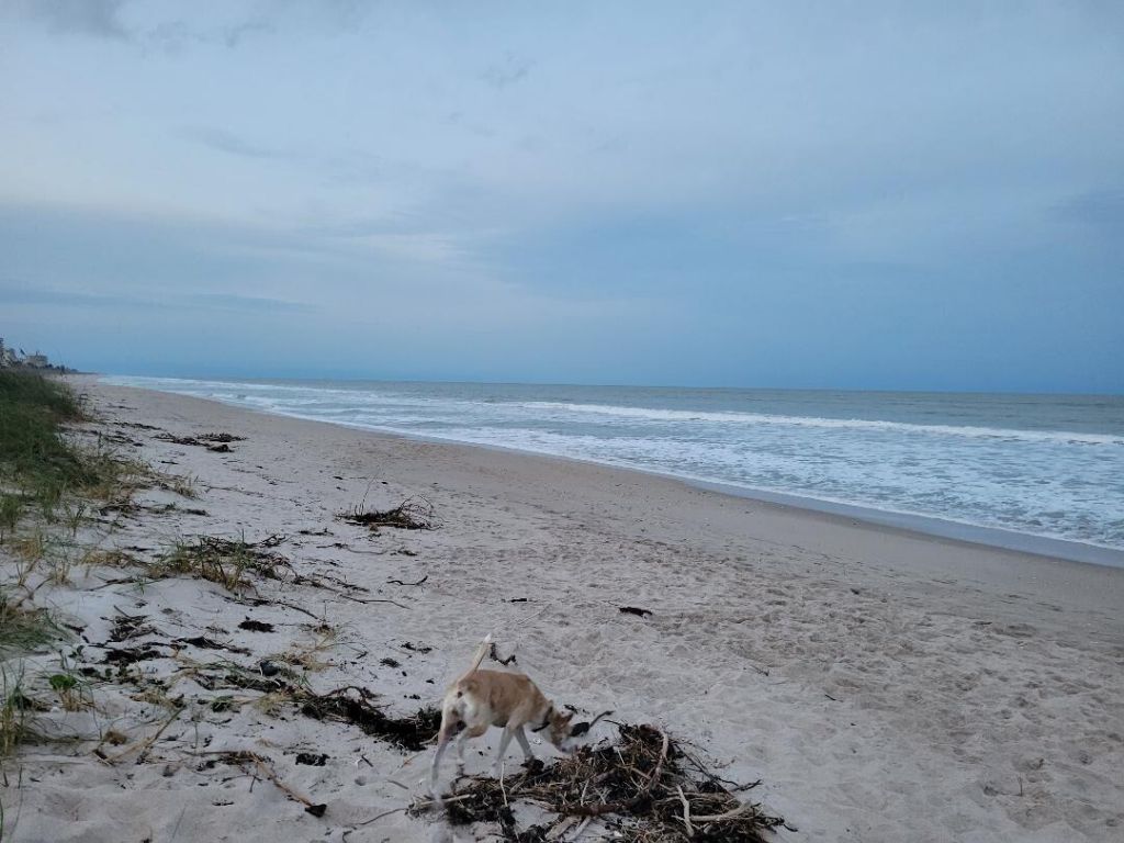 0 North Ocean Drive, Hutchinson Island, FL 34949 Photo