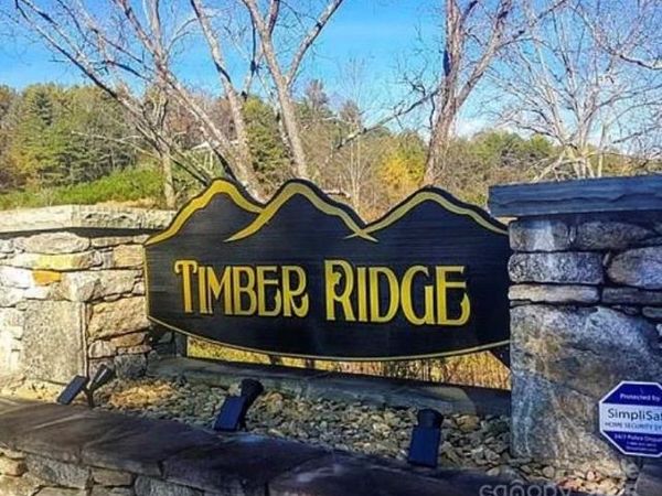 31 Timber Hill Drive, Leicester, NC 28748