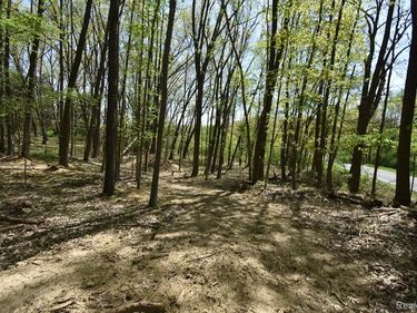 10146 ISLAND LAKE Road, Dexter Twp, MI 48130