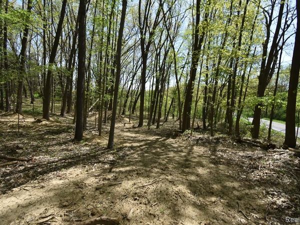 10146 ISLAND LAKE Road, Dexter Twp, MI 48130