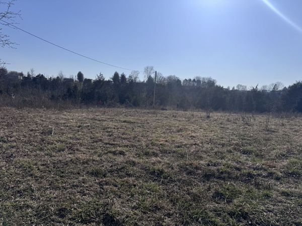 0 Ward Hollow Road, Brush Creek, TN 38547