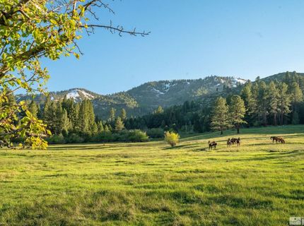 6995 Franktown Road, Washoe Valley, NV 89704 Photo