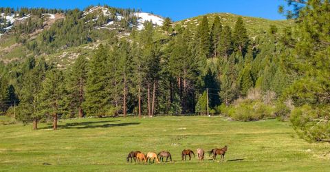 6995 Franktown Road, Washoe Valley, NV 89704 Photo