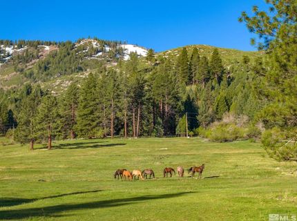 6995 Franktown Road, Washoe Valley, NV 89704 Photo