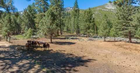 6995 Franktown Road, Washoe Valley, NV 89704 Photo