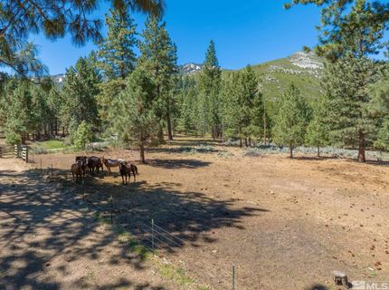 6995 Franktown Road, Washoe Valley, NV 89704 Photo