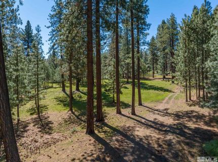 6995 Franktown Road, Washoe Valley, NV 89704 Photo