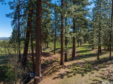 6995 Franktown Road, Washoe Valley, NV 89704 Photo