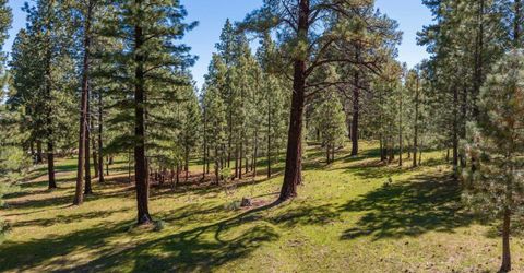 6995 Franktown Road, Washoe Valley, NV 89704 Photo