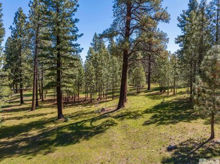 6995 Franktown Road, Washoe Valley, NV 89704 Photo