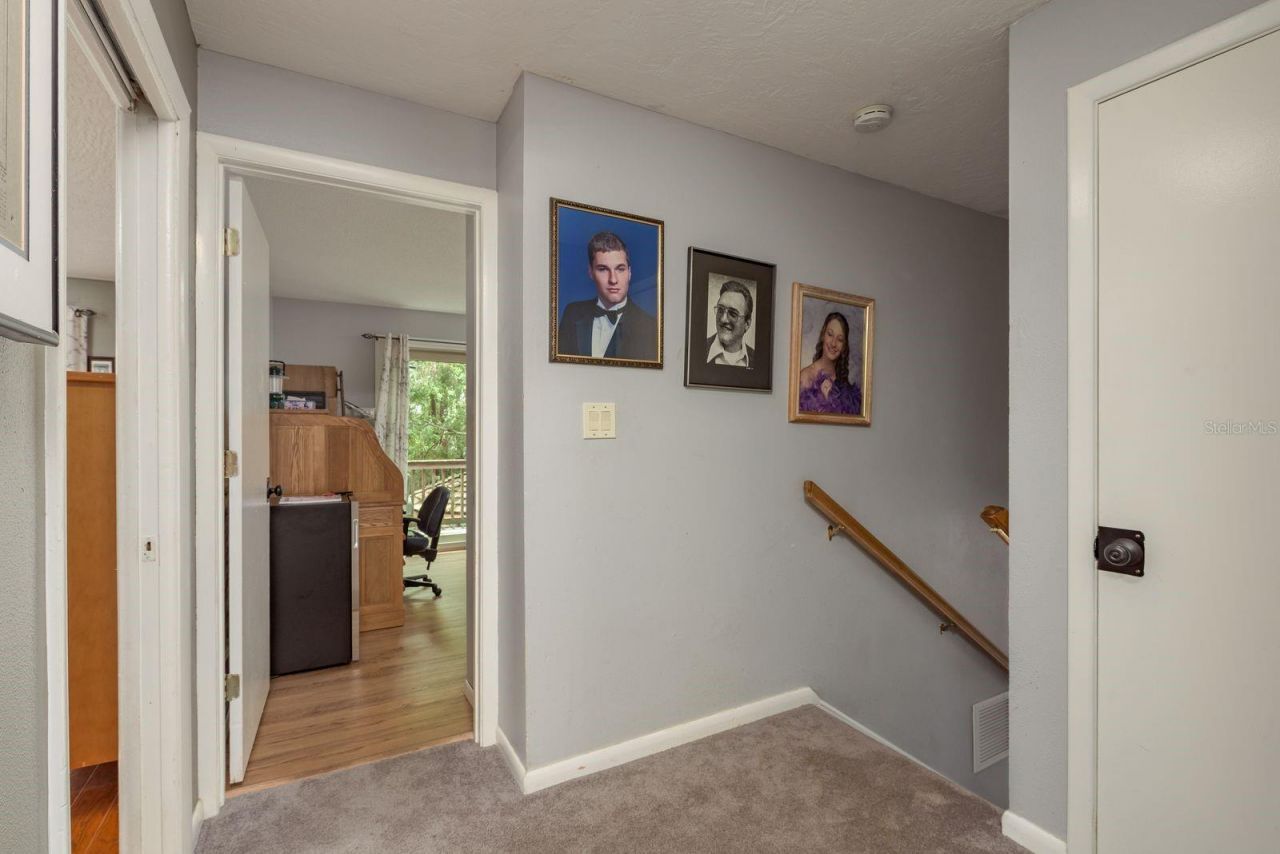 2279 Ranchette Lane, Dunedin, FL 34698 Photo