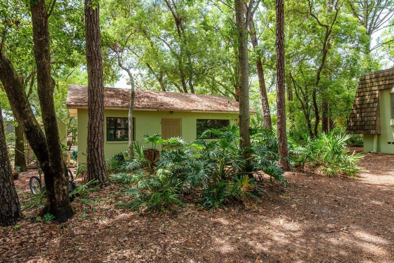 2279 Ranchette Lane, Dunedin, FL 34698 Photo