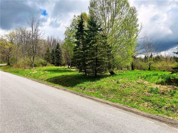 Sisson Hill Road, Unadilla, NY 13849