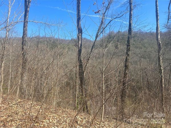 0 Towaliga Drive, Bryson City, NC 28713