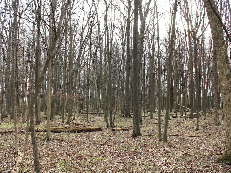 0 Carr Road, Ostrander, OH 43061 Photo 13