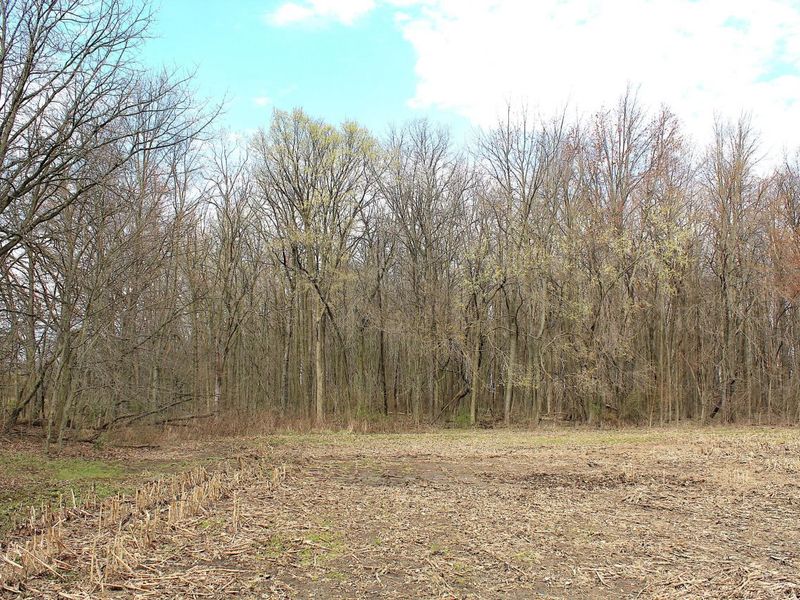 0 Carr Road, Ostrander, OH 43061 Photo 16