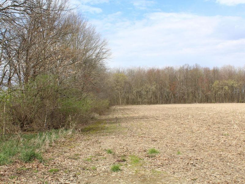 0 Carr Road, Ostrander, OH 43061 Photo 17