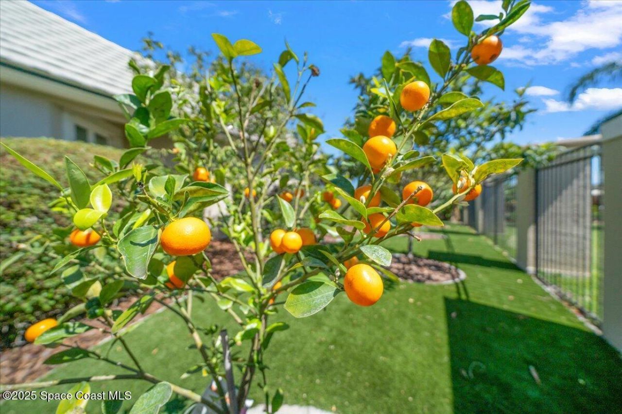 240 Lansing Island Drive, Indian Harbor Beach, FL 32937 Photo