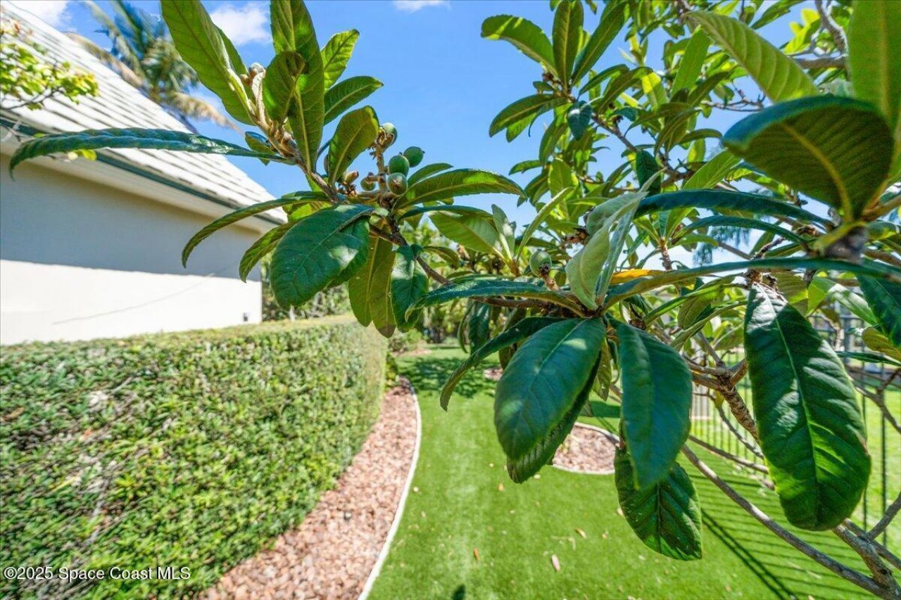 240 Lansing Island Drive, Indian Harbor Beach, FL 32937 Photo