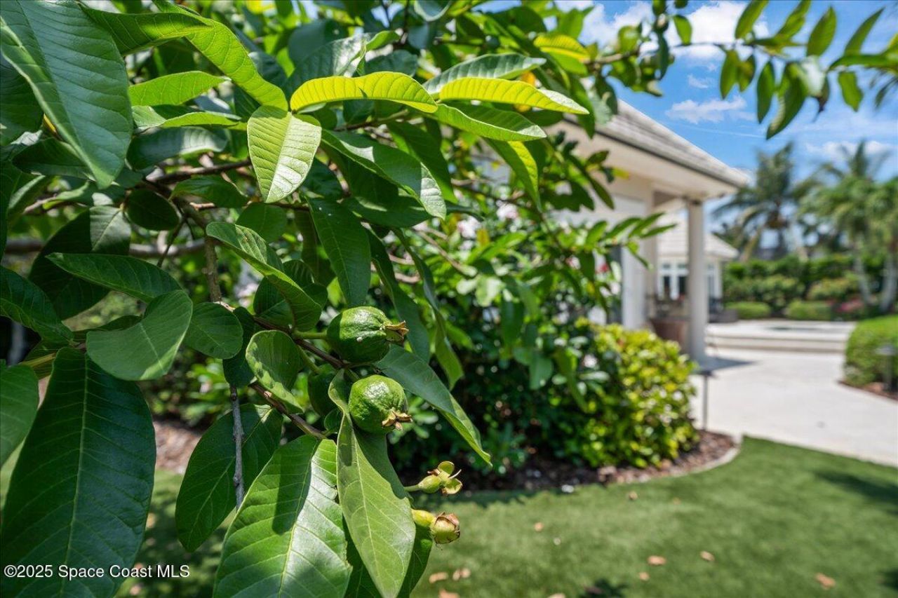 240 Lansing Island Drive, Indian Harbor Beach, FL 32937 Photo