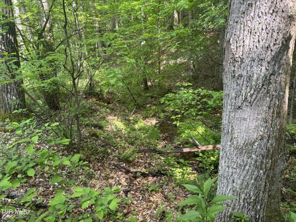 Lot 6b Of Roan Creek Road, Butler, TN 37640