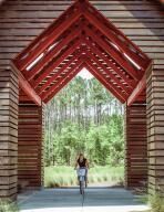 822 Gentle Breeze Drive Photo 38