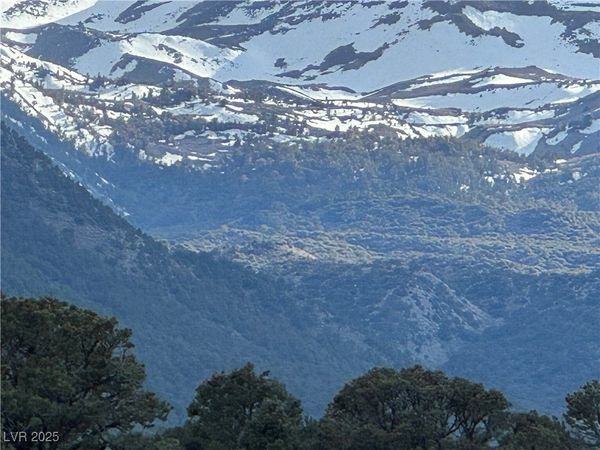 325 Davis Meadow Trail, Dyer, NV 89010