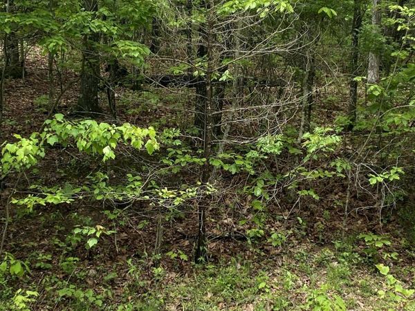 612 Catawba Lane, Crossville, TN 38572