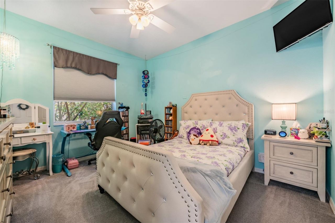 3727 Janus Way, Palm Harbor, FL 34685 Photo