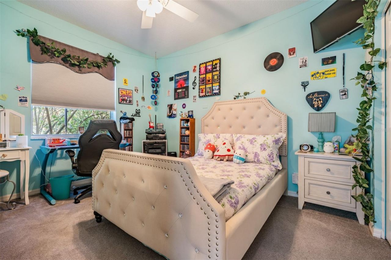 3727 Janus Way, Palm Harbor, FL 34685 Photo