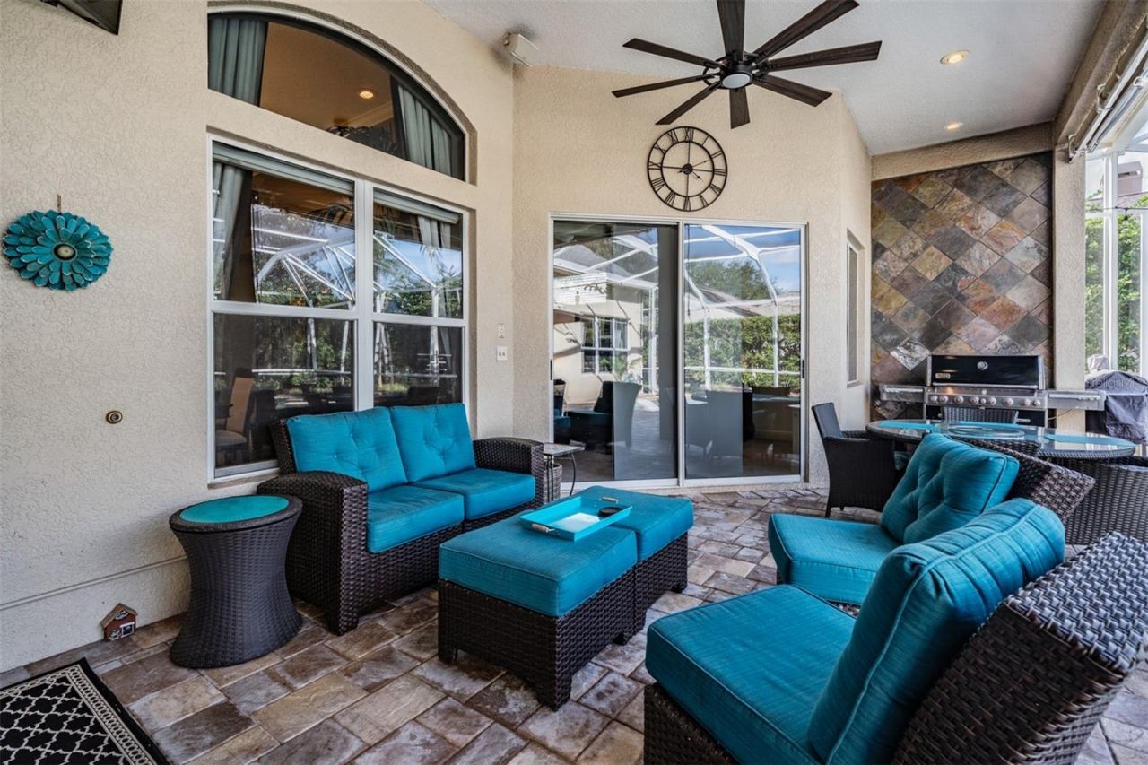 3727 Janus Way, Palm Harbor, FL 34685 Photo