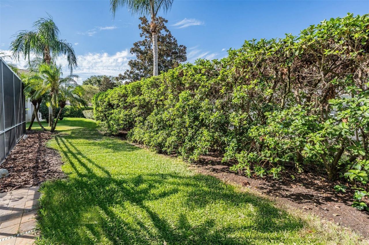 3727 Janus Way, Palm Harbor, FL 34685 Photo