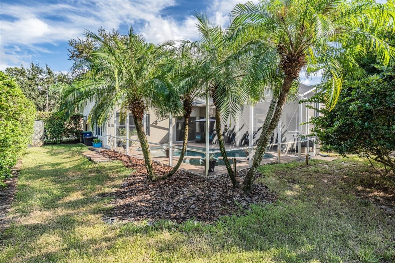 3727 Janus Way, Palm Harbor, FL 34685 Photo