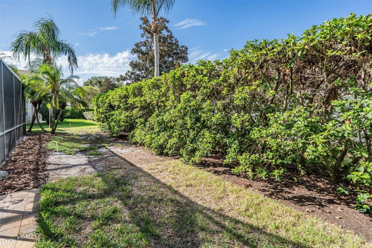 3727 Janus Way, Palm Harbor, FL 34685 Photo