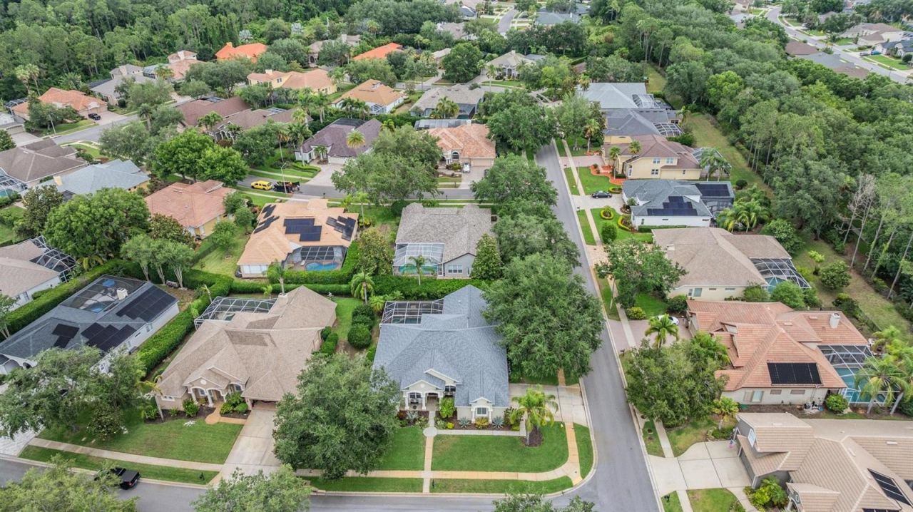 3727 Janus Way, Palm Harbor, FL 34685 Photo