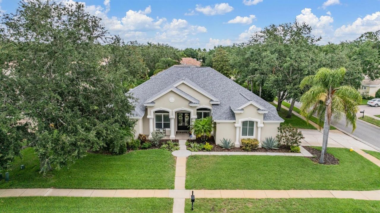 3727 Janus Way, Palm Harbor, FL 34685 Photo