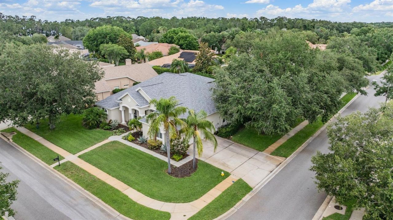3727 Janus Way, Palm Harbor, FL 34685 Photo