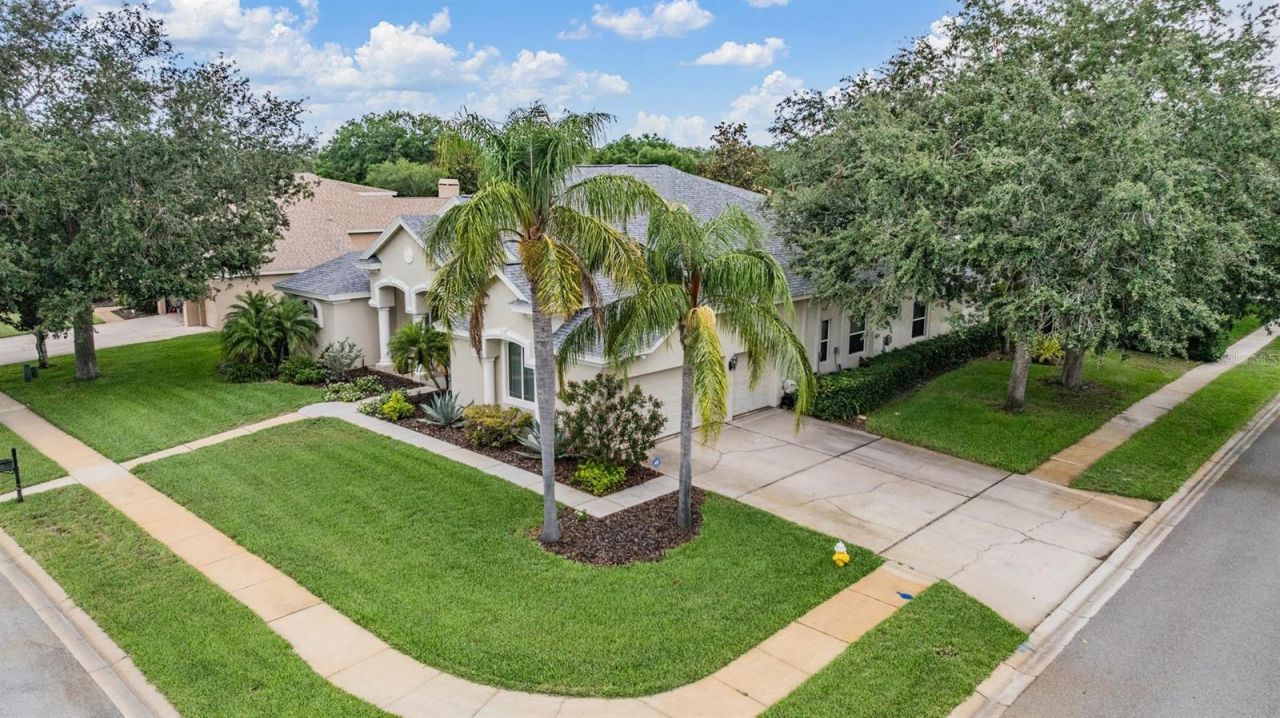 3727 Janus Way, Palm Harbor, FL 34685 Photo