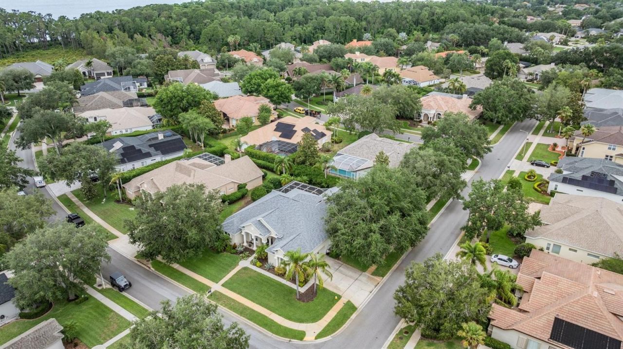 3727 Janus Way, Palm Harbor, FL 34685 Photo