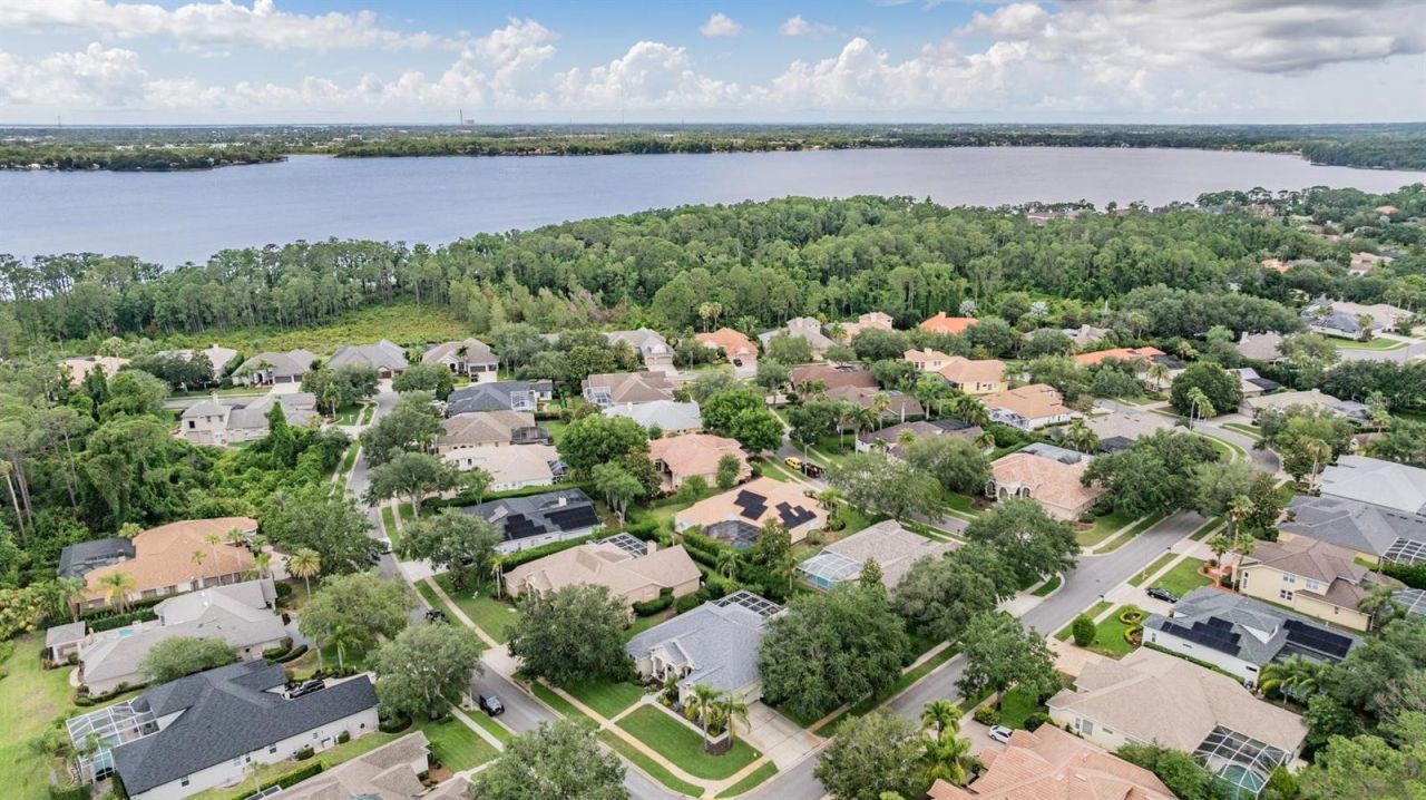 3727 Janus Way, Palm Harbor, FL 34685 Photo